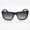 Ray-Ban 4165 Justin 622/T3 55 sunglasses