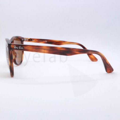 Γυαλιά ηλίου Ray-Ban 2185 Wayfarer II 95433 55