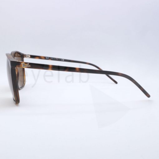 Ray-Ban 4387 71073 56 sunglasses