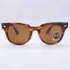 Γυαλιά ηλίου Ray-Ban 2168 Meteor 95433