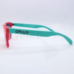 Oakley Youth Frogskins XS 9006 09 sunglasses