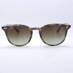 Ray-Ban 4259 731E8 51 sunglasses