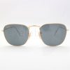 Γυαλιά ηλίου Ray-Ban 3857 Frank Legend 9196R5