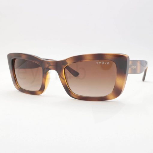 Vogue 5311S W65613 49 sunglasses