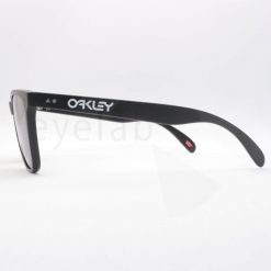 Γυαλιά ηλίου Oakley Frogskins 35TH 9444 02