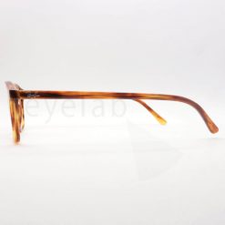 Γυαλιά οράσεως Ray-Ban 5393 Leonard 2144