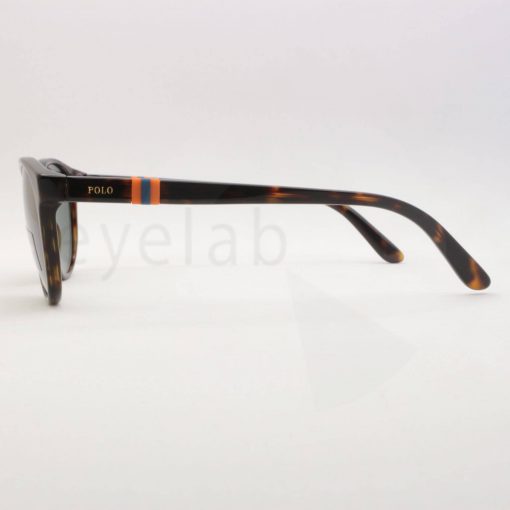 Polo Ralph Lauren 9502 500371 48 sunglasses