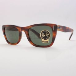 Ray-Ban 2248 Caribbean 95431 sunglasses