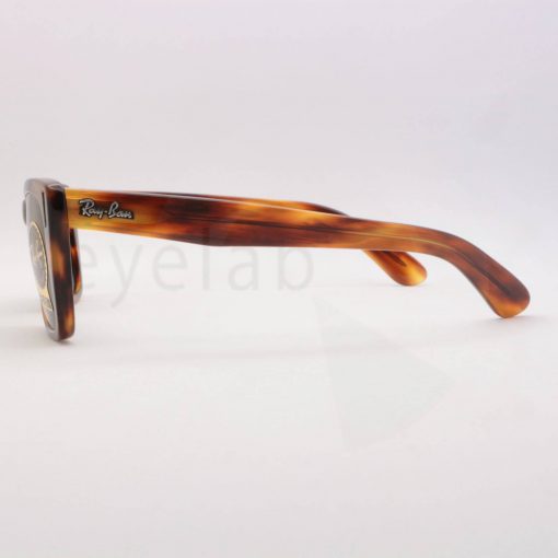 Γυαλιά ηλίου Ray-Ban 2248 Caribbean 95431