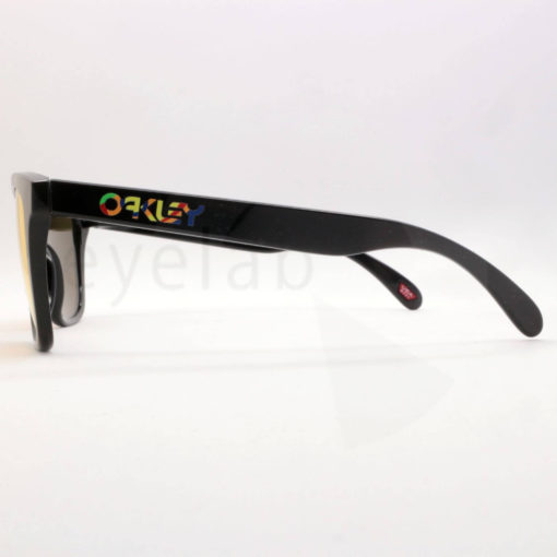 Γυαλιά ηλίου Oakley Frogskins 9013 E6