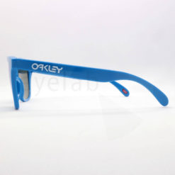 Oakley Frogskins 9013 J4 55 sunglasses