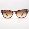 Γυαλιά ηλίου Ray-Ban 2201 Laramie 133451