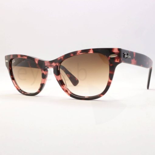 Γυαλιά ηλίου Ray-Ban 2201 Laramie 133451