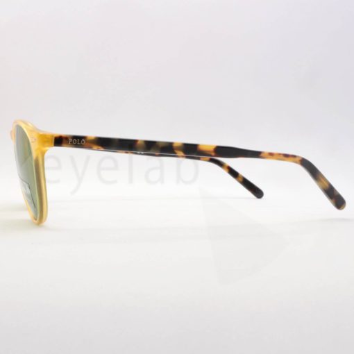 Γυαλιά ηλίου Polo Ralph Lauren 4181 50052