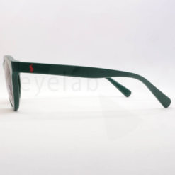 Polo Ralph Lauren 4184 542173 sunglasses