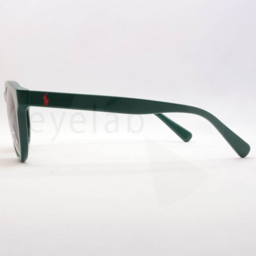 Polo Ralph Lauren 4184 542173 sunglasses