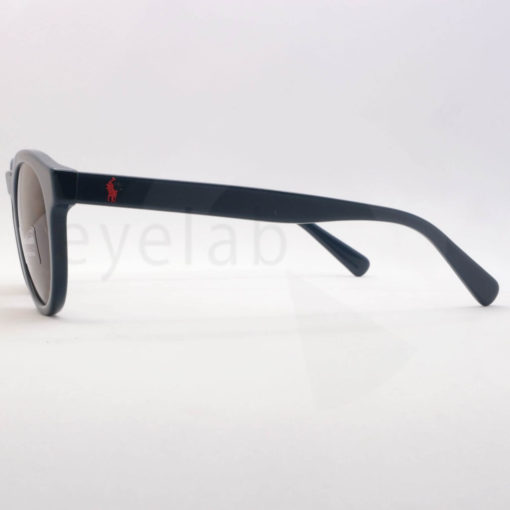 Polo Ralph Lauren 4184 562073 sunglasses