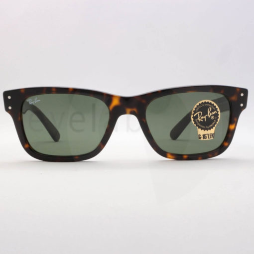 Γυαλιά ηλίου Ray-Ban 2283 Mr Burbank 90231