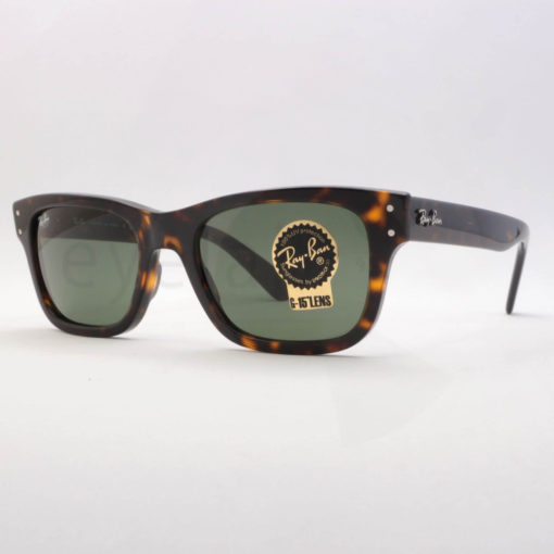 Γυαλιά ηλίου Ray-Ban 2283 Mr Burbank 90231