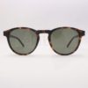Morel Azur 80068A TT11 sunglasses