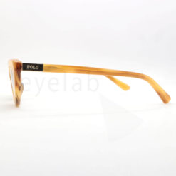 Γυαλιά ηλίου Polo Ralph Lauren 4199 607980