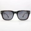 Visionario Wayne 01 sunglasses