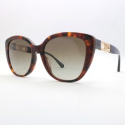 Γυαλιά ηλίου Emporio Armani 4214U 60608E