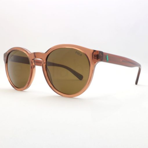 Polo Ralph Lauren 4192 608673 sunglasses