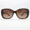 Ralph Lauren 8127B 500313 sunglasses