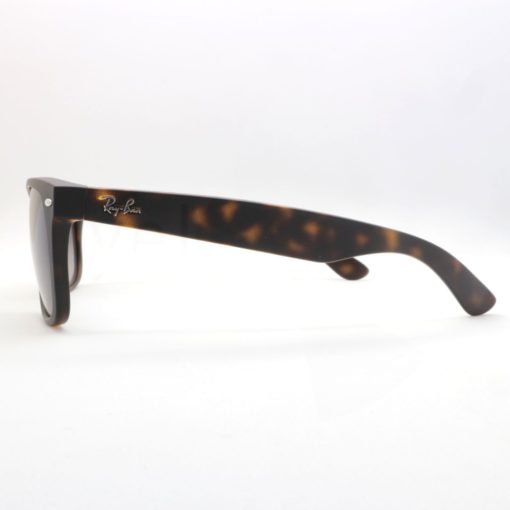 Γυαλιά ηλίου Ray-Ban 2132 New Wayfarer 86578