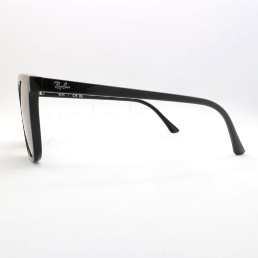 Γυαλιά ηλίου Ray-Ban 2210 90131