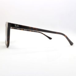 Ray-Ban 2210 90231 sunglasses