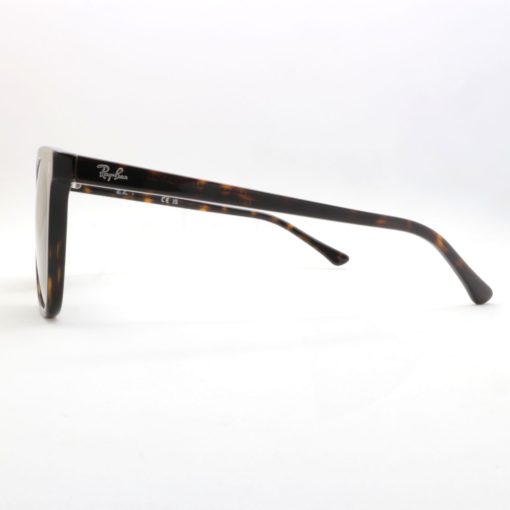 Ray-Ban 2210 90231 sunglasses