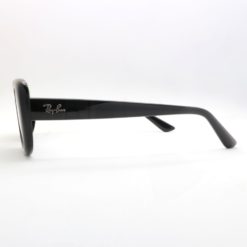 Ray-Ban 4421D 667787 sunglasses