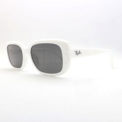 Γυαλιά ηλίου Ray-Ban 4421D 677287