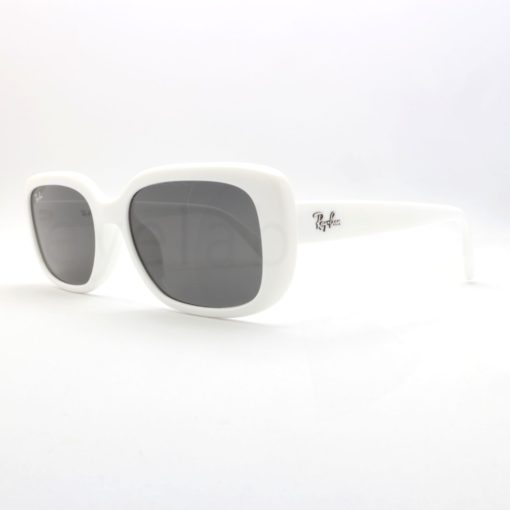 Ray-Ban 4421D 677287 sunglasses