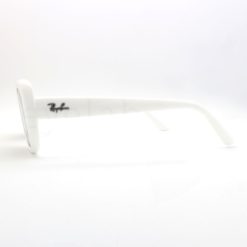 Ray-Ban 4421D 677287 sunglasses