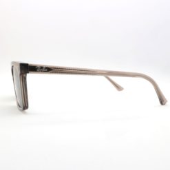 Ray-Ban 4435 6765R5 sunglasses