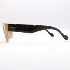 Vogue 5530S W900T5 sunglasses