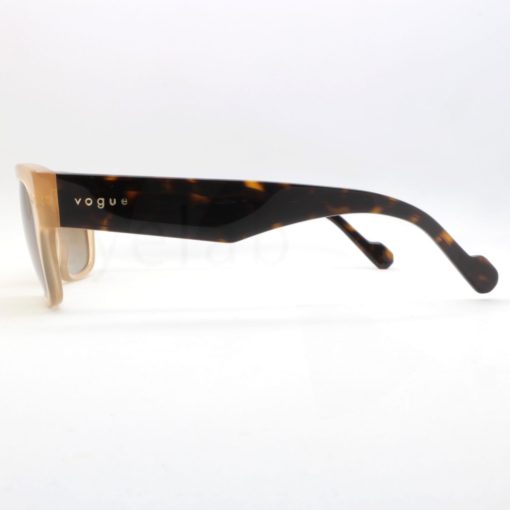 Vogue 5530S W900T5 sunglasses