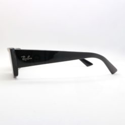 Ray-Ban 4425 Teru 667787 sunglasses