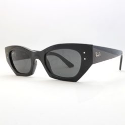 Ray-Ban 4430 Zena 667787 sunglasses