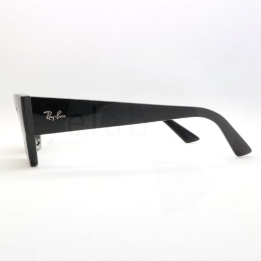 Ray-Ban 4430 Zena 667787 sunglasses
