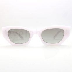 Ray-Ban 4430 Zena 675911 sunglasses