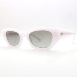 Ray-Ban 4430 Zena 675911 sunglasses