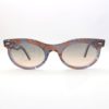 Ray-Ban Change 2242 Wayfarer oval 138432