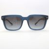 Vogue 5573S 31438G sunglasses