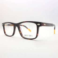 Tipi-Diversi TD6504 C02 eyeglasses frame