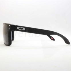 Γυαλιά ηλίου Oakley 9417 Holbrook XL 22