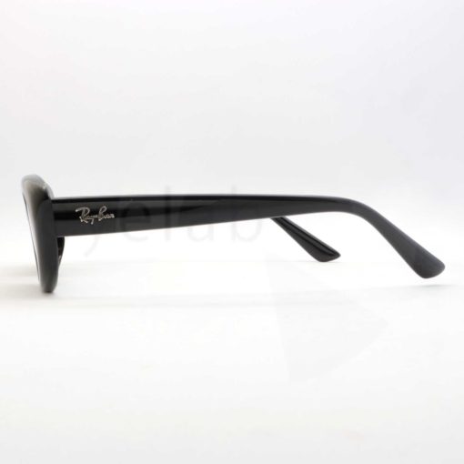 Ray-Ban 4441D 667787 sunglasses